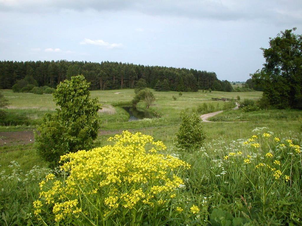 Palac Wojciechy מראה חיצוני תמונה